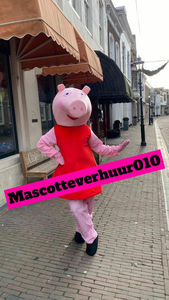 Peppa Pig mascotte te huur, Hobby en Vrije tijd, Ophalen, Zo goed als nieuw, Verjaardag