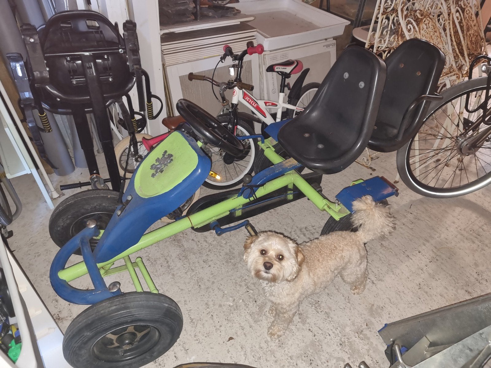 Skelter 2-persoons met schakelaar op enkel 1 stand te rijden, Ophalen, Gebruikt, Overige merken, Duozit
