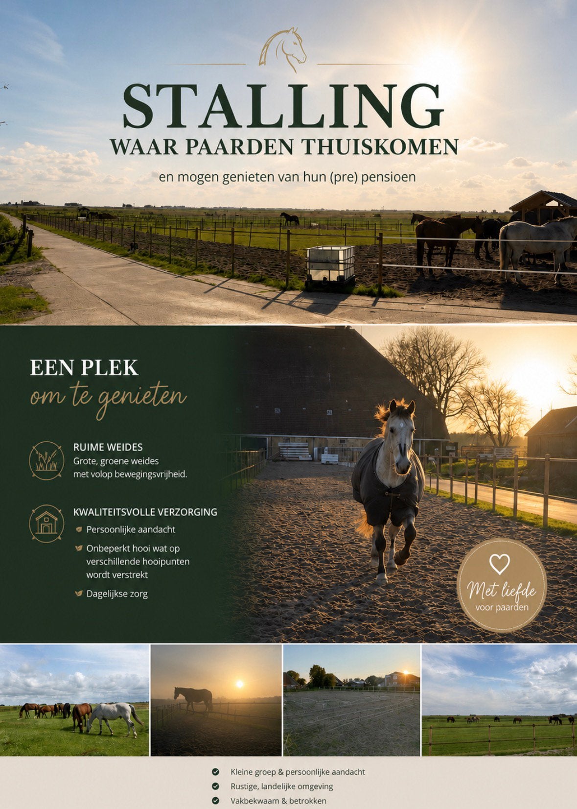 Stalling voor pony’s / paarden met pensioen / rusthuis