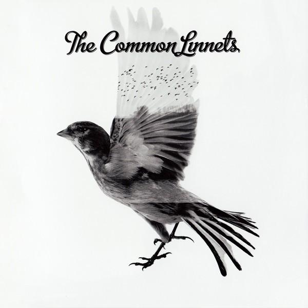The Common Linnets – The Common Linnets, Ophalen of Verzenden, Zo goed als nieuw