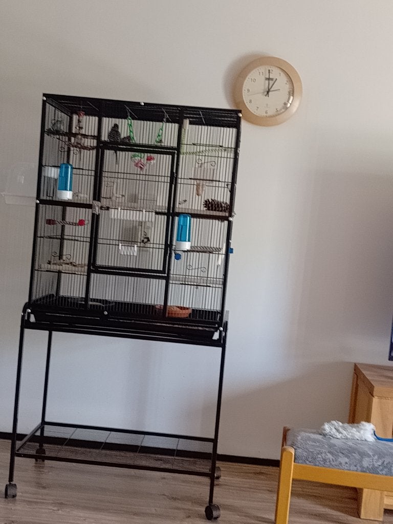 Te koop mooie vogelkooi, Ophalen of Verzenden, Zo goed als nieuw, Metaal, Vogelkooi