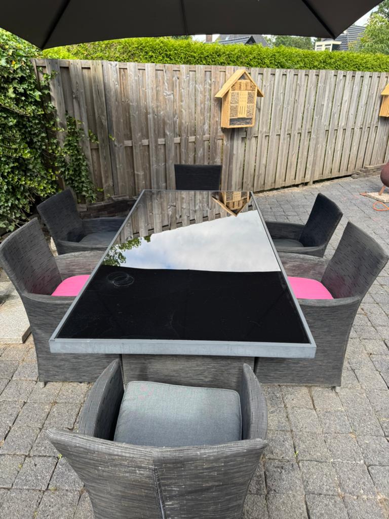 Mooie tuintafel met 6 tuinstoelen inclusief kussens, Ophalen, Zo goed als nieuw