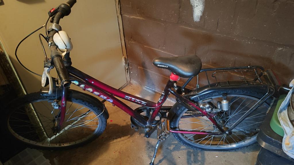 Alaska fiets, 24 inch, Ophalen, Gebruikt, 20 inch of meer, Alaska