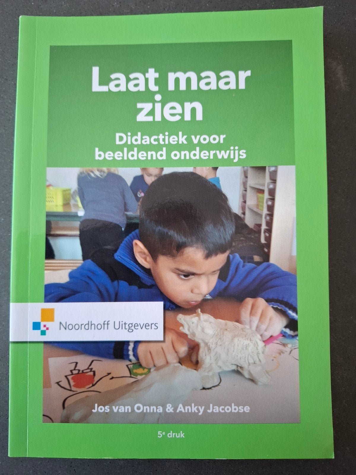 Laat maar zien: Didactiek voor beeldend onderwijs, Ophalen of Verzenden, Zo goed als nieuw, HBO, Jos van Onna & Anky Jacobse