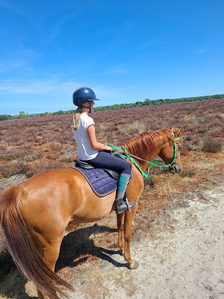 6 jarige ruin zoekt droomhuisje, Dieren en Toebehoren, E pony (1.48m - 1.57m), Ruin, 3 tot 6 jaar, Recreatiepony