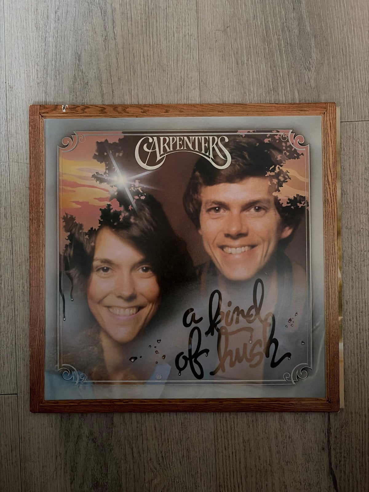 Carpenters - A Kind of Hush LP (1976), LP, Gebruikt, Pop, Ophalen of Verzenden