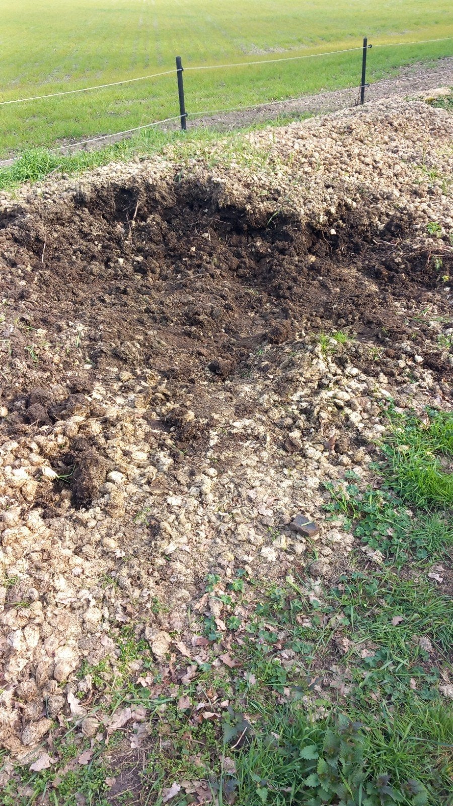Gratis paardenmest, Ophalen