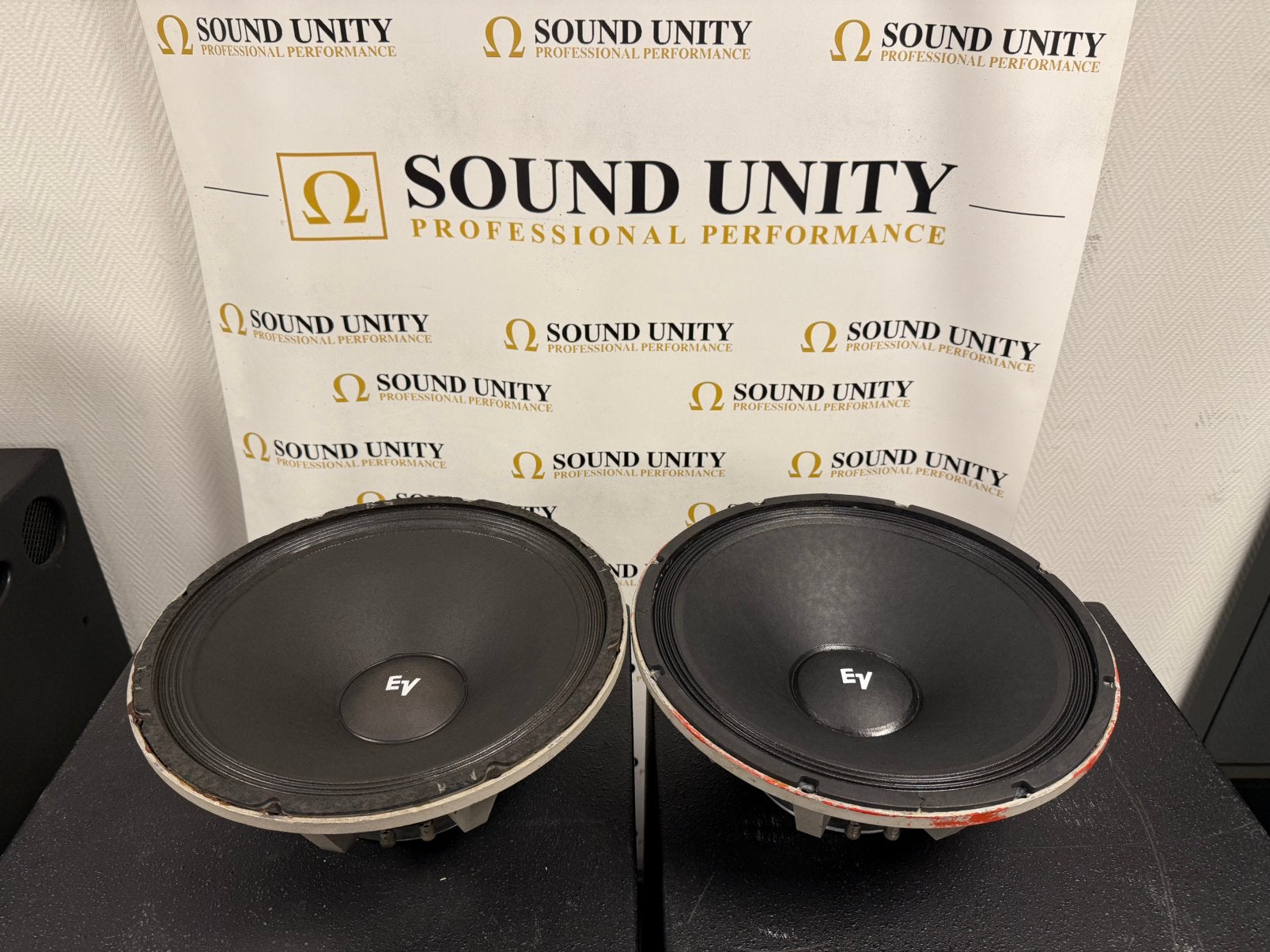 EV - Electro Voice DL15X woofer