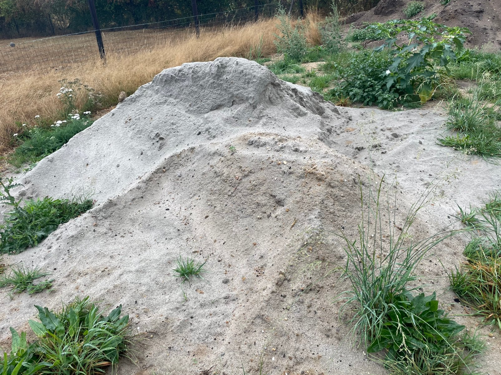 Gratis af te halen: geel zand, Tuin en Terras, Zand, Ophalen, Zo goed als nieuw, Ophoogzand