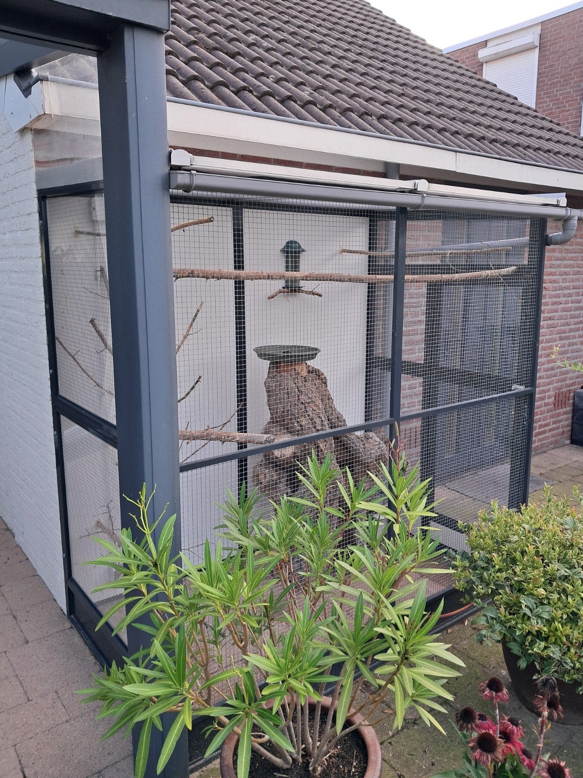Voliere ; aluminium ;  kleur antraciet  ; nieuwstaat, Ophalen, Zo goed als nieuw, Aluminium, Volière