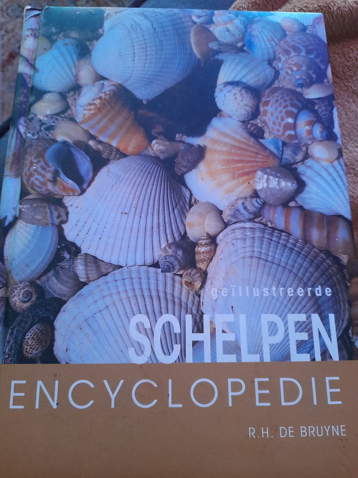 Geïllustreerde Schelpen Encyclopedie - R.H. De Bruyne, Gelezen, R.H. De Bruyne, Ophalen of Verzenden, Los deel