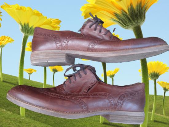 RIVER WOODS ‍️😎 brogues maat 43, Kleding | Heren, Schoenen, Bruin, Verzenden, Zo goed als nieuw, River Woods