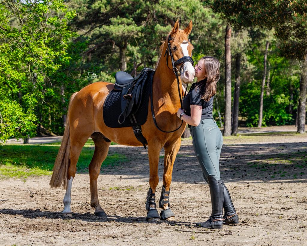 Recreatie D-pony Bentley, Dieren en Toebehoren, Pony's, Ruin, L, 11 jaar of ouder, Recreatiepony