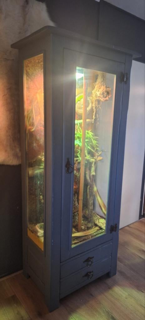 Terrarium compleet te koop, Dieren en Toebehoren, Reptielen en Amfibieën | Toebehoren, Ophalen
