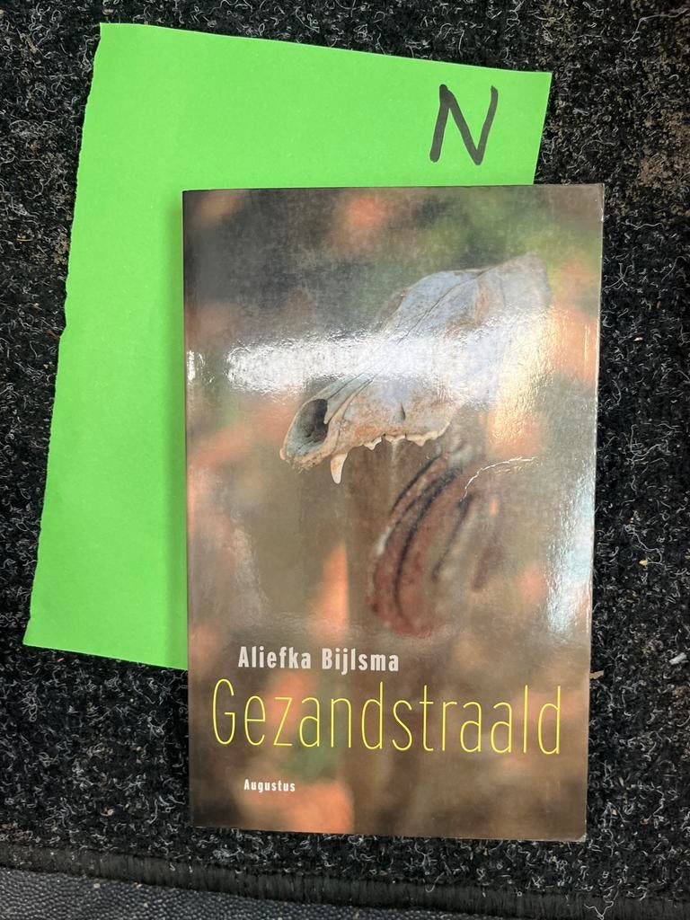 Gezandstraald - Aliefka Bijlsma (Augustus), Ophalen of Verzenden, Zo goed als nieuw, Nederland