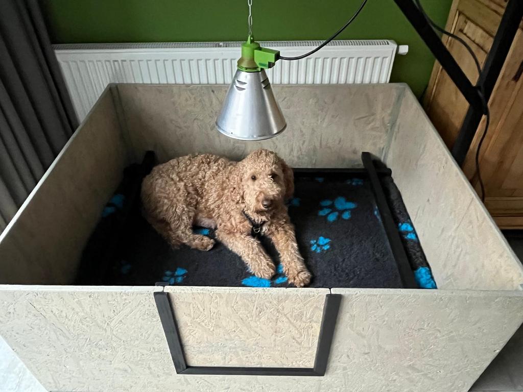 Werpkist honden., Dieren en Toebehoren, Hondenhokken, Ophalen, Zo goed als nieuw, 110 cm of meer, Minder dan 65 cm