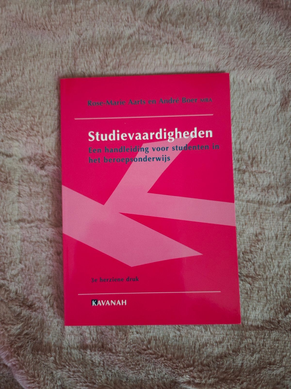 Studievaardigheden - Rose-Marie Aarts en André Beer, Ophalen of Verzenden, Zo goed als nieuw, HBO, Rose-Marie Aarts en André Beer