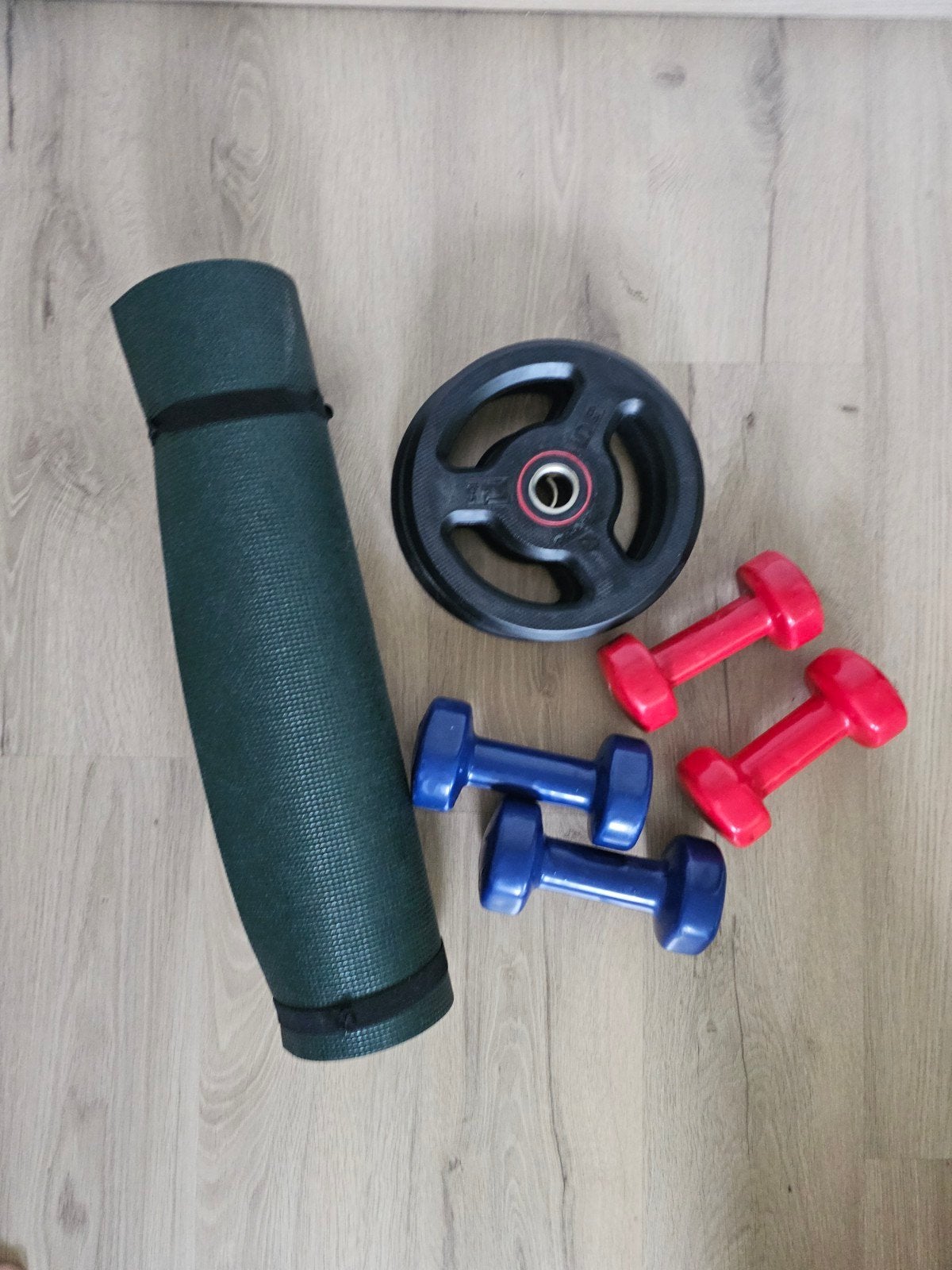 Dumbbells Tunturi Fitness & Domyos schijf - Goede staat, Sport en Fitness, Ophalen, Gebruikt, Rug, Dumbbell