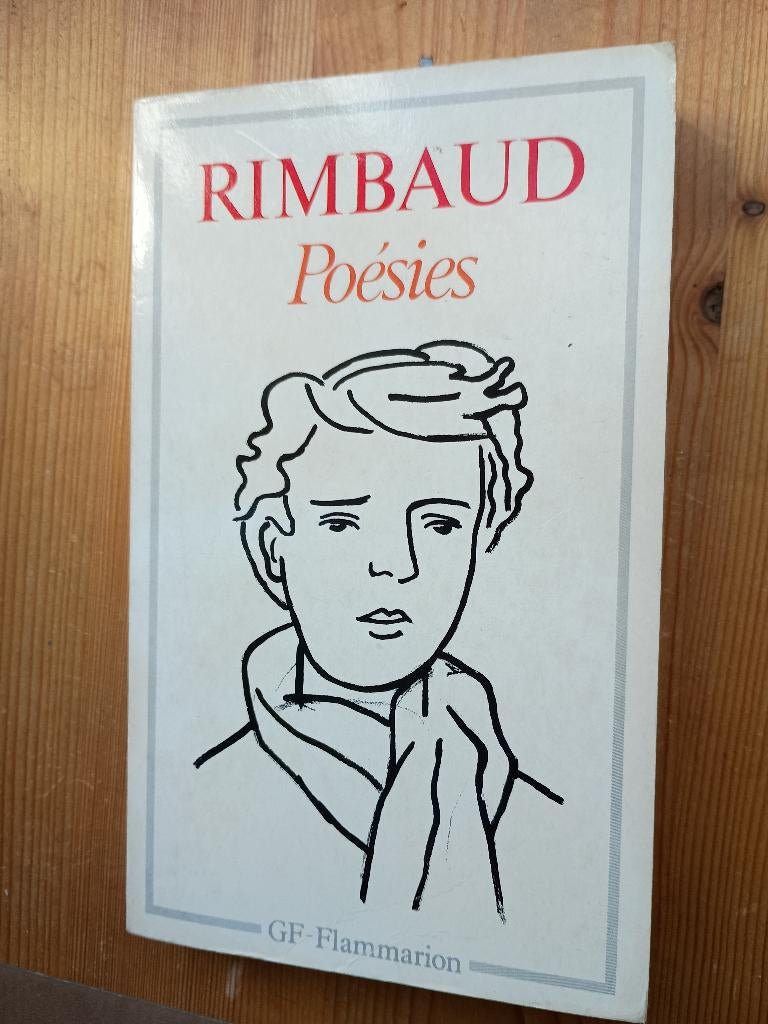 Rimbaud - Poésies (Pocket), Boeken, Ophalen of Verzenden, Gelezen, Kunst en Cultuur
