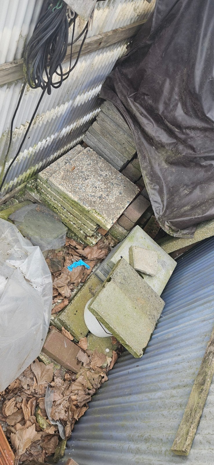 Gratis dakpannen en diverse tuintegels, Tuin en Terras, Tegels en Klinkers, Ophalen, Gebruikt