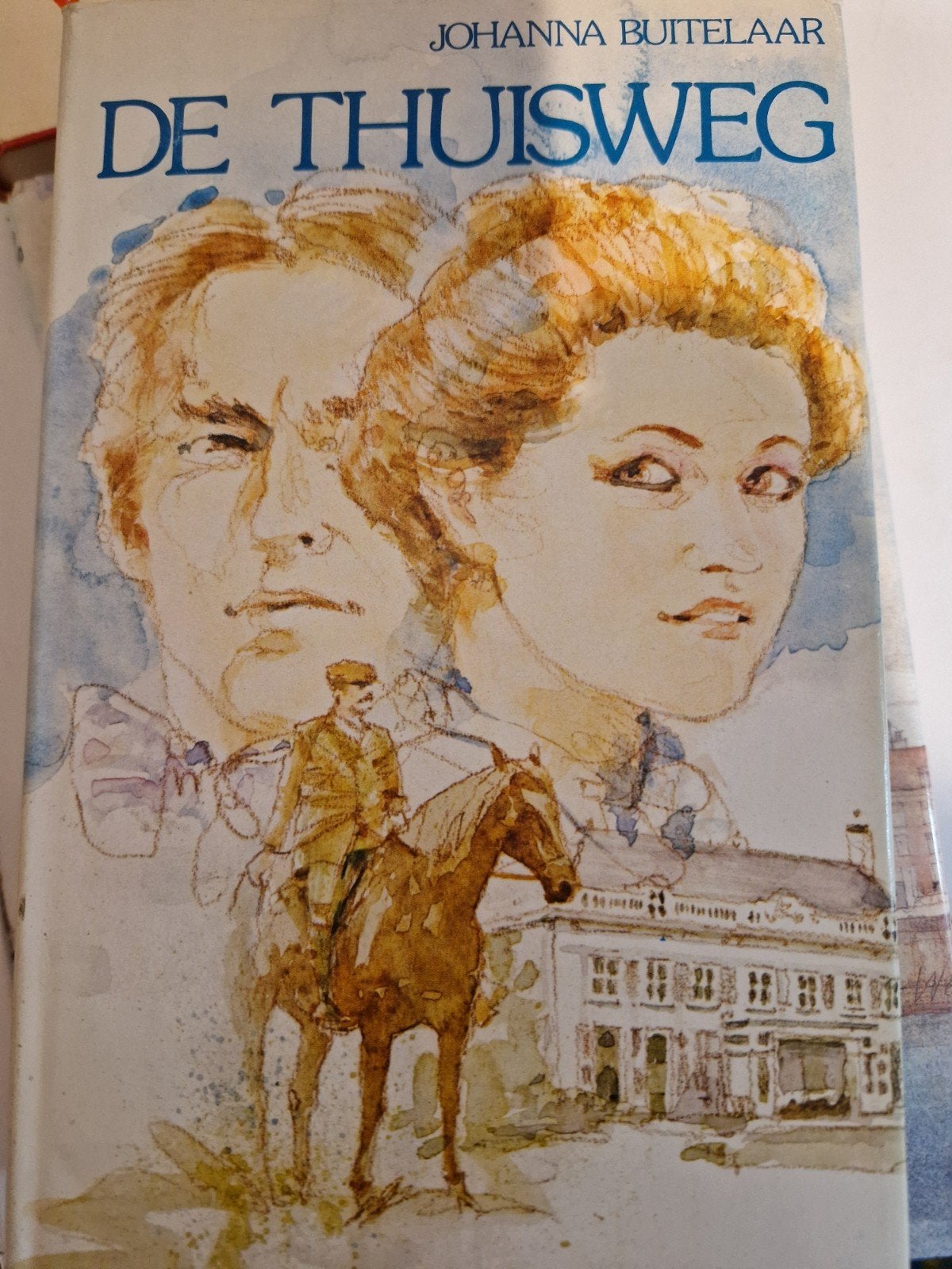 De Thuisweg - Johanna Buitelaar (Roman), Ophalen of Verzenden, Gelezen, Johanna Buitelaar, Nederland