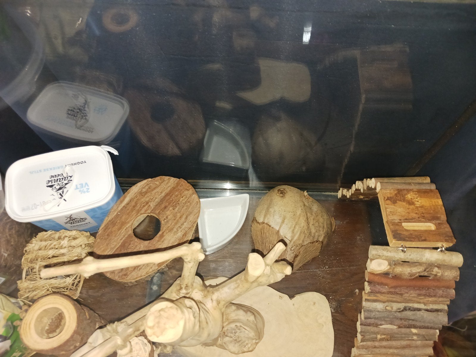 Glazen hamsterkooi met toebehoren, Ophalen