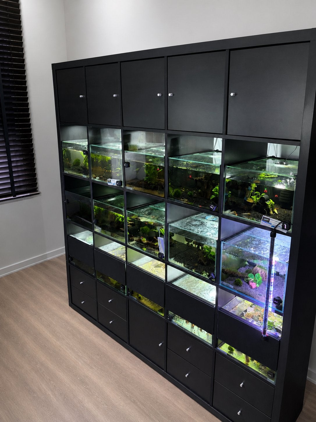Kweekstelling garnalen & visjes, Dieren en Toebehoren, Vissen | Aquaria en Toebehoren, Ophalen of Verzenden