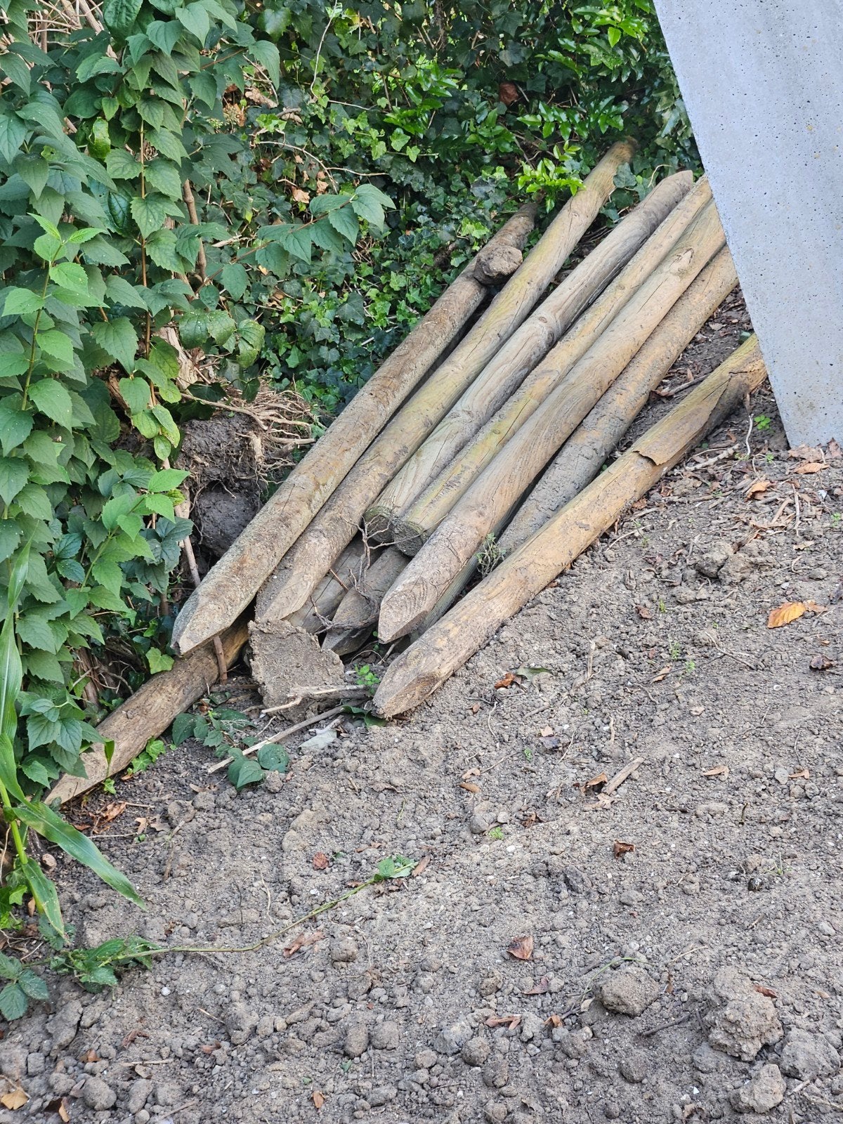 Houten palen, 200 cm, geïmpregneerd, FSC, Ophalen, Minder dan 180 cm, Palen