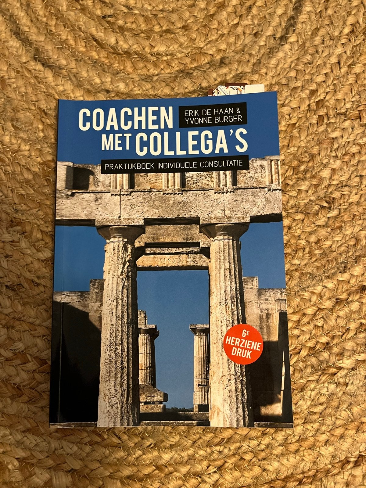 Erik de Haan - Coachen met collega's, Gelezen, Erik de Haan; Yvonne Burger, Alpha, HBO