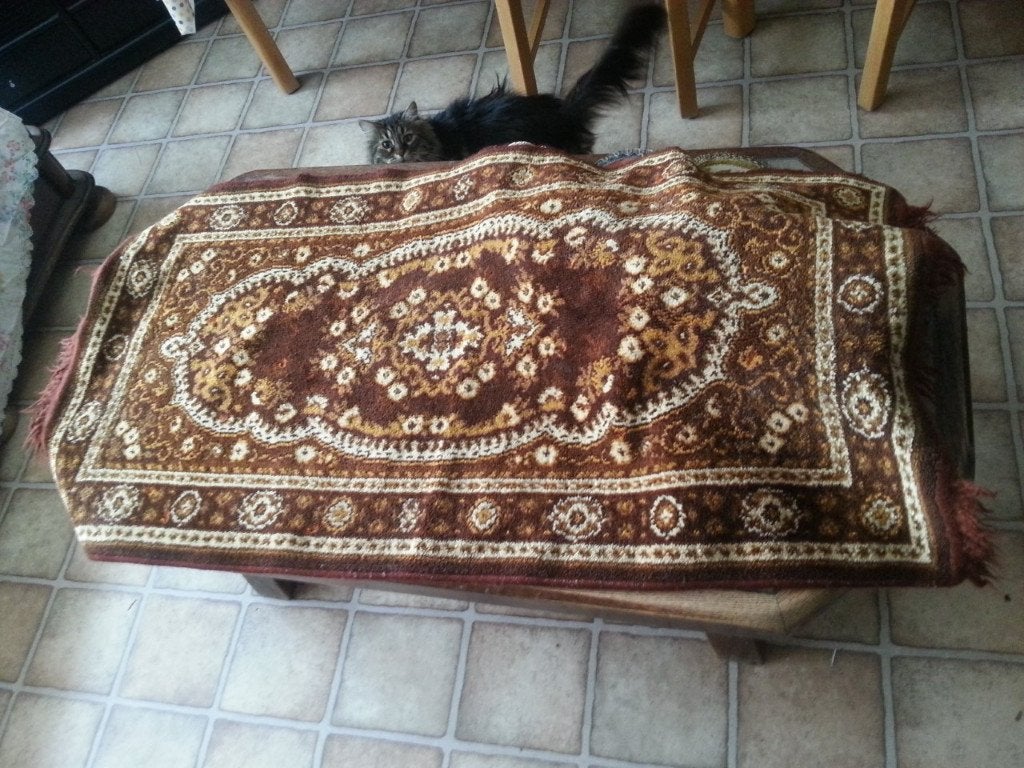Oude Kleedjes , jaren 60/70, Gebruikt, 50 tot 100 cm, Groen, Overige vormen