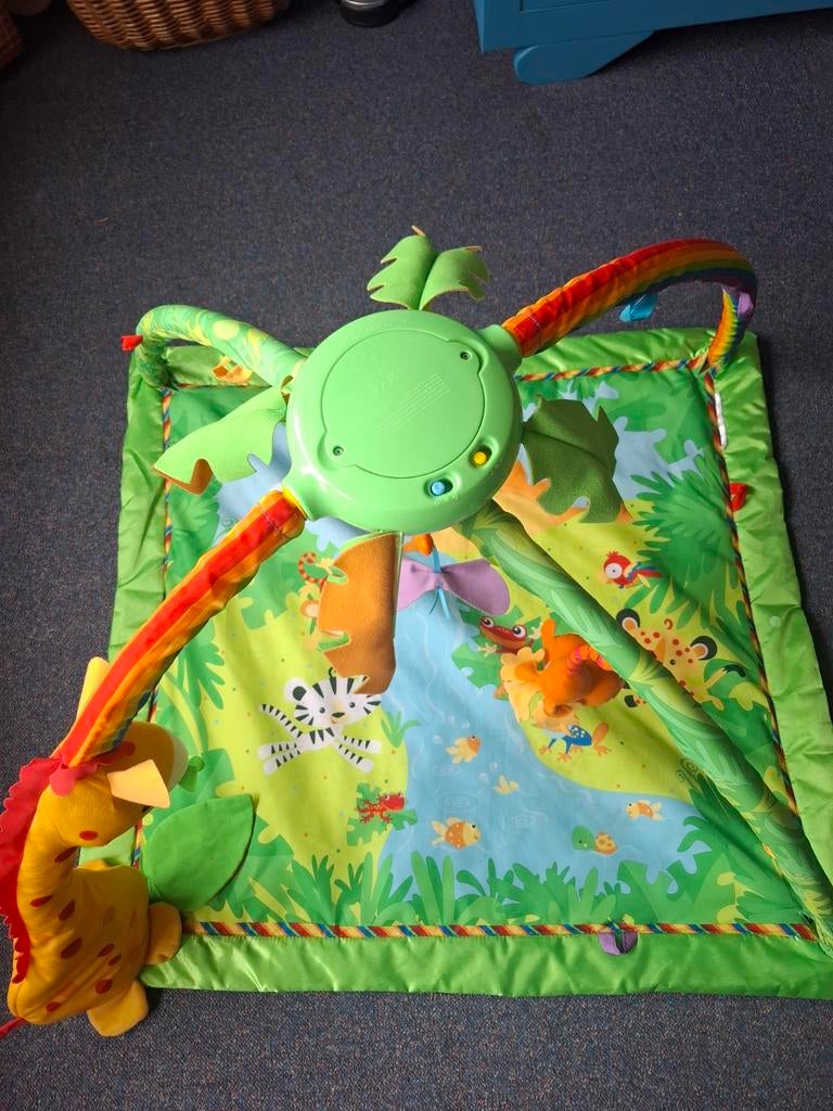 Speelkleed met knuffeltjes, muziek, geluiden en lichtjes, Ophalen, Zo goed als nieuw