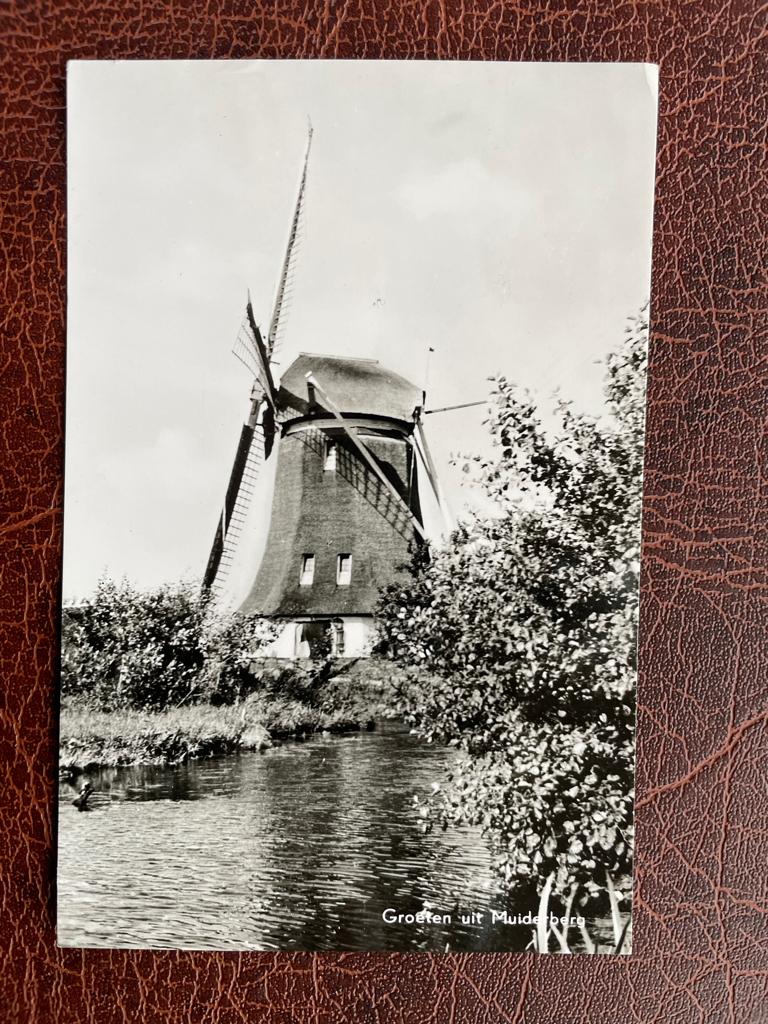 ansichtkaart v. Muiderberg, Groeten uit Muiderberg met Molen, Verzenden, 1960 tot 1980