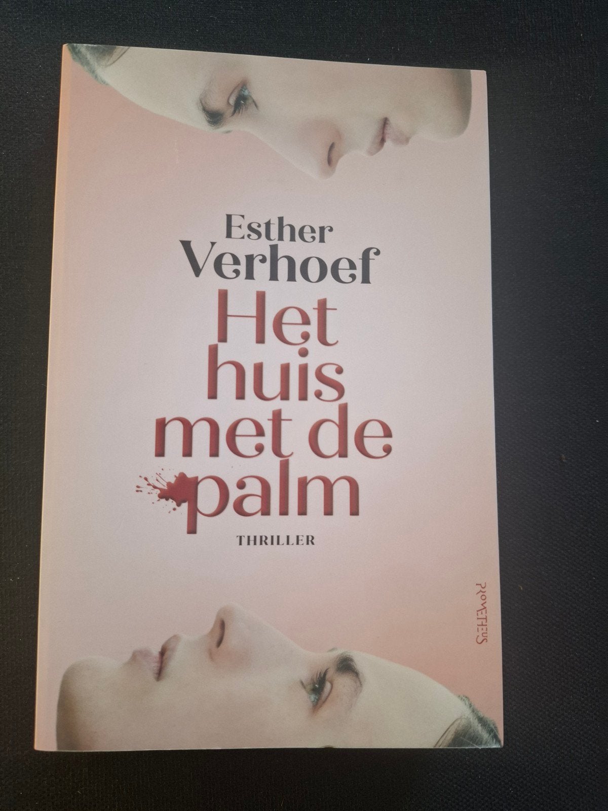 Esther Verhoef - Het huis met de palm (Thriller), Boeken, Ophalen of Verzenden, Zo goed als nieuw, Esther Verhoef, Nederland