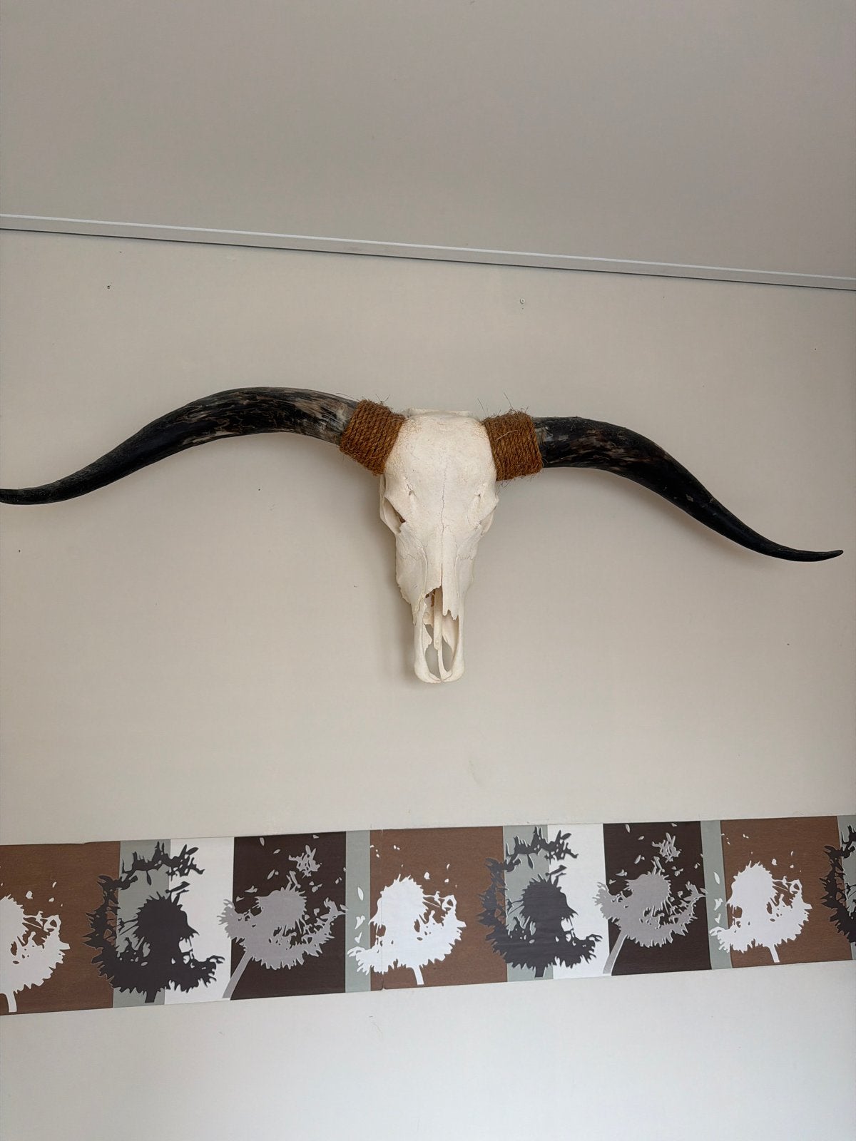 Grote buffelschedel met hoorns - wanddecoratie, Ophalen, Gebruikt, Overige stijlen, Natuurlijk materiaal