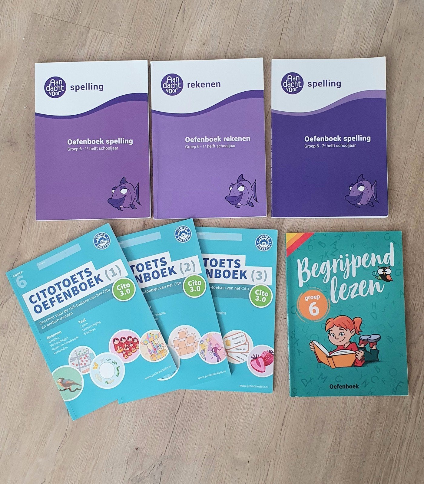 Cito oefenboeken groep 6 Spelling, Rekenen, Lezen, Boeken, Schoolboeken, Gelezen, Diverse, Ophalen of Verzenden, Nederlands