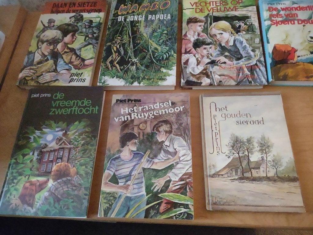 Diverse boeken- Piet Prins, Boeken, Ophalen of Verzenden, Gelezen