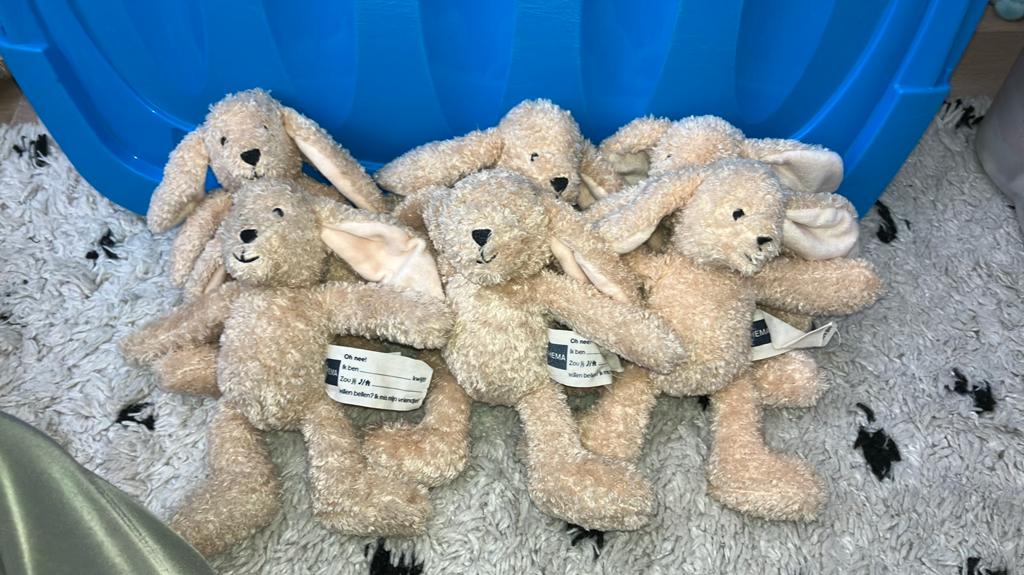 Hema konijn, Kinderen en Baby's, Speelgoed | Knuffels en Pluche, Hema, Konijn, Ophalen of Verzenden, Zo goed als nieuw