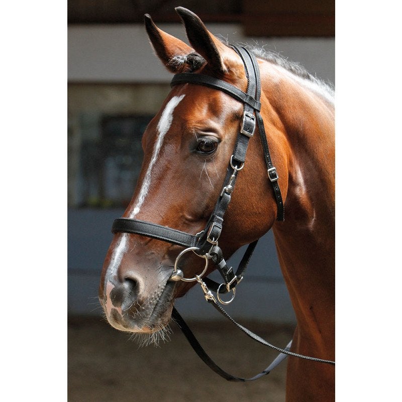 Harry’s horse hoofdstel halster nieuw shet tm X Full, Ophalen of Verzenden, Nieuw, Zwart