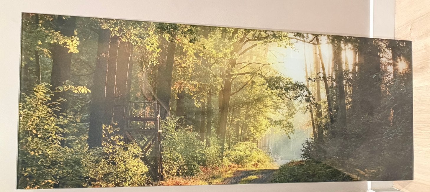 Prachtig Glas Schilderij - Boslandschap met Zonsopgang, Ophalen, Minder dan 50 cm, Zo goed als nieuw, Schilderij
