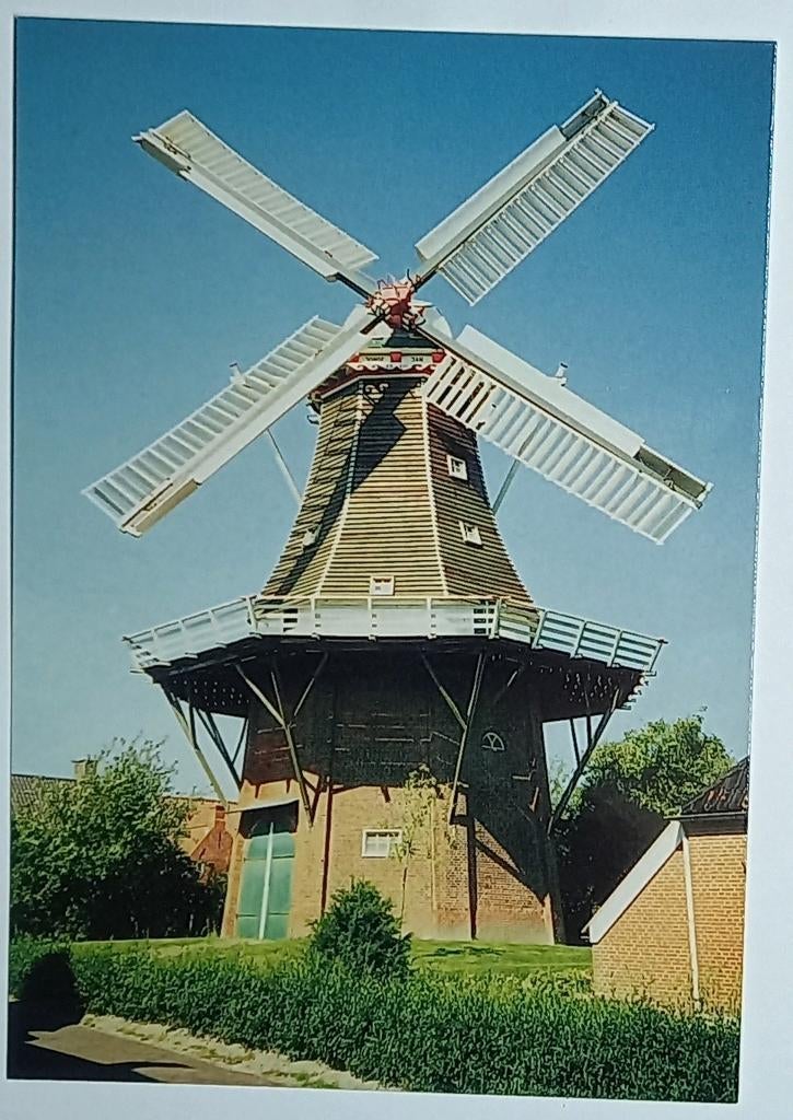 Uithuizen ( Gron.) Koren- en Pelmolen Jonge Jan / De Liefde, Verzenden, 1980 tot heden, Ongelopen, Groningen