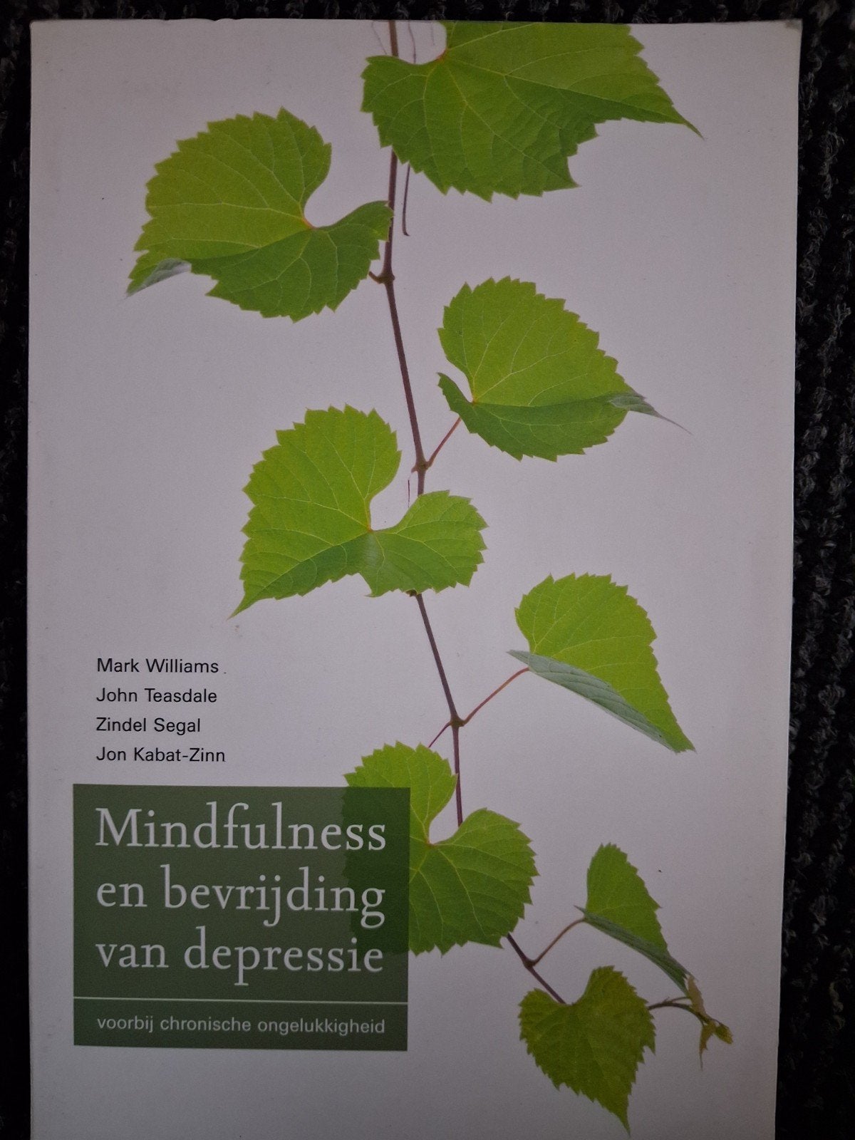 Mark Williams - Mindfulness en bevrijding van depressie, Ophalen, Zo goed als nieuw, Mark Williams