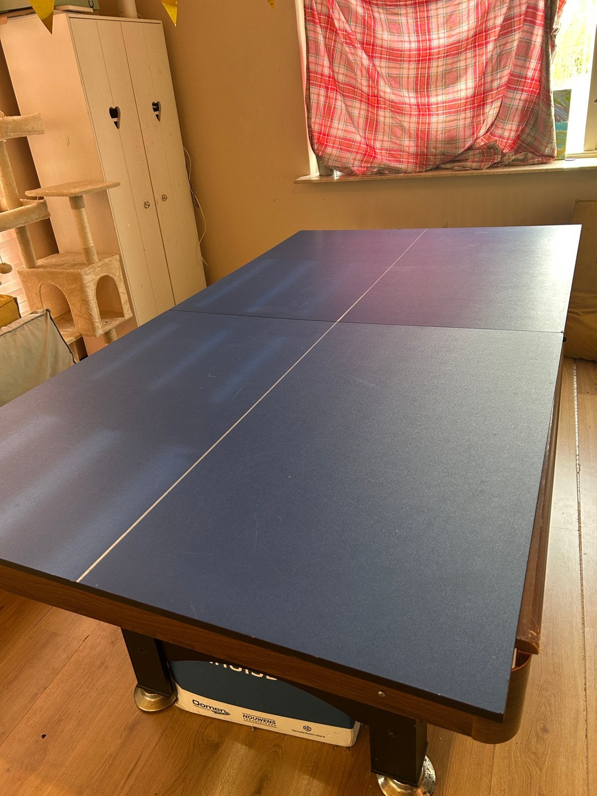 Tafeltennisblad - pingpong - in goede staat, Ophalen, Gebruikt, Tafel Indoor
