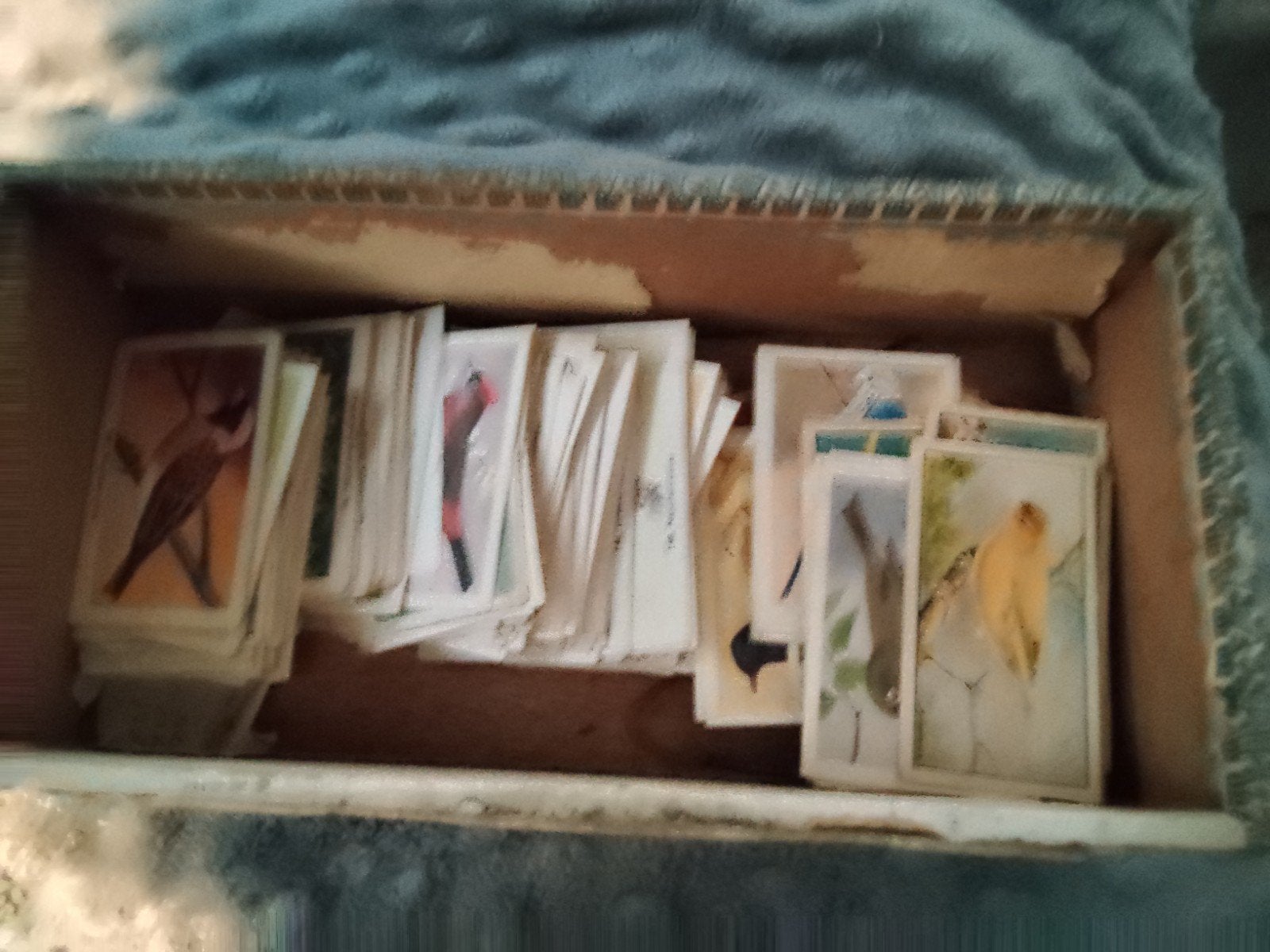 vogelplaatjes rizla, Ophalen of Verzenden, Zo goed als nieuw, Vogel, Overige typen