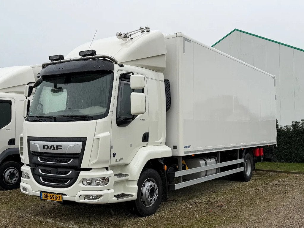 DAF LF 290 L2EN3 (bj 2024), Auto's, Vrachtwagens, Bedrijf, Te koop, DAF, Diesel, Euro 6, Automaat, Geïmporteerd, Wit, Achterwielaandrijving