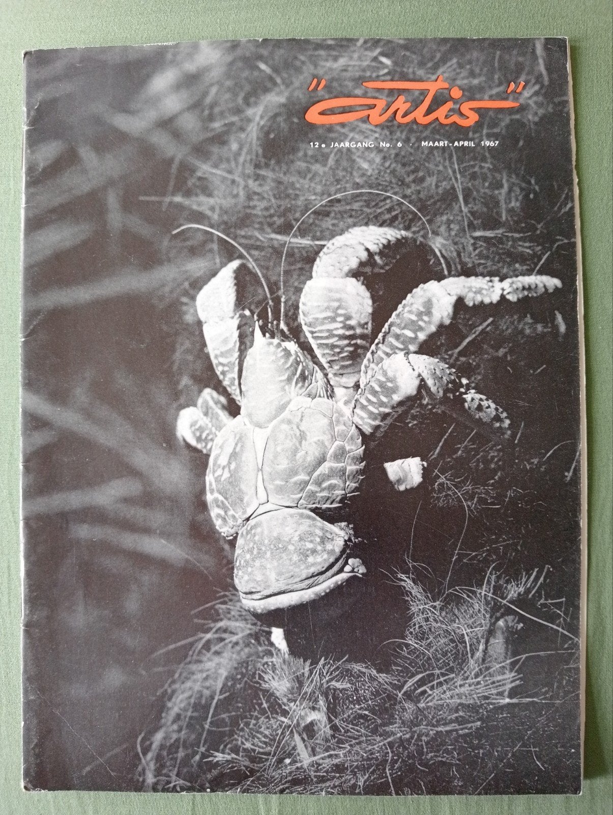 Artis Magazine - 12e Jaargang No. 6 - Maart-April 1967, Ophalen of Verzenden, Gelezen, Wetenschap en Natuur