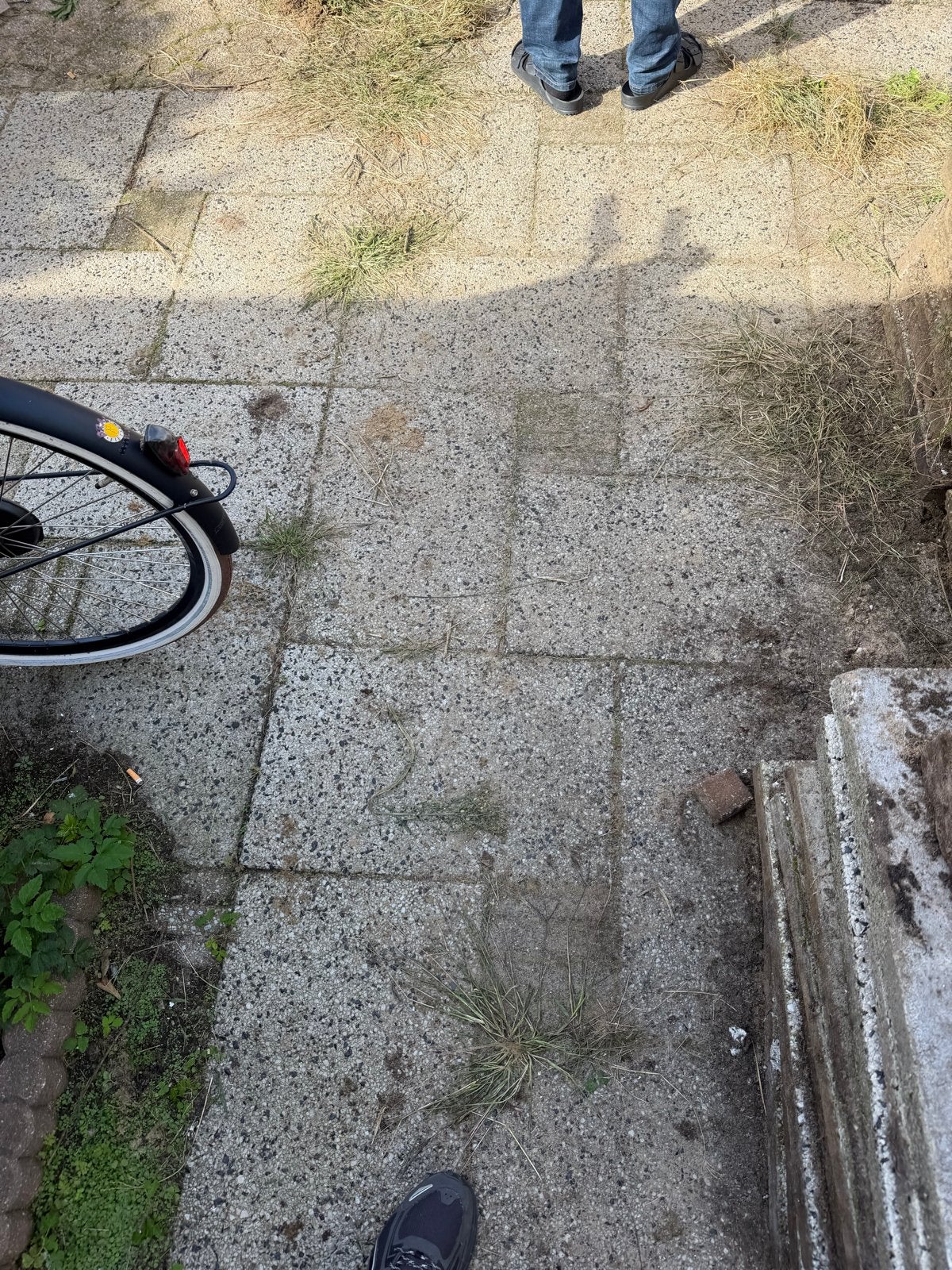 Gebruikte terrastegels en klinkers - diverse maten, Gebruikt, Ophalen of Verzenden, 10 m² of meer, Beton