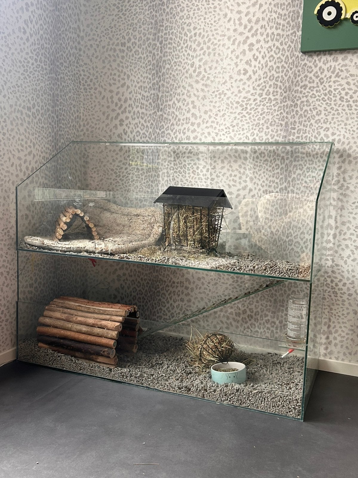 Prachtig glazen hok met 2 cavias, Ophalen, 60 tot 90 cm, Zo goed als nieuw, Hok