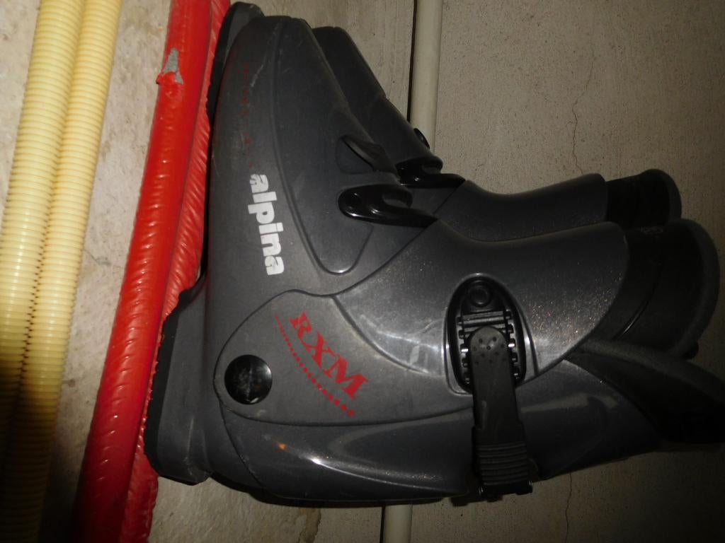 ALPINA grijze heren skischoenen maat 43, Overige merken, 160 tot 180 cm, Gebruikt, Schoenen