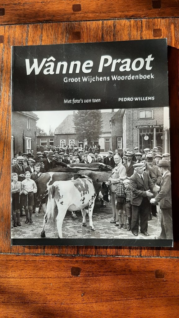 Wijchen wanne proat  Wijchens woordenboek, Boeken, Geschiedenis | Stad en Regio, Ophalen of Verzenden, Zo goed als nieuw