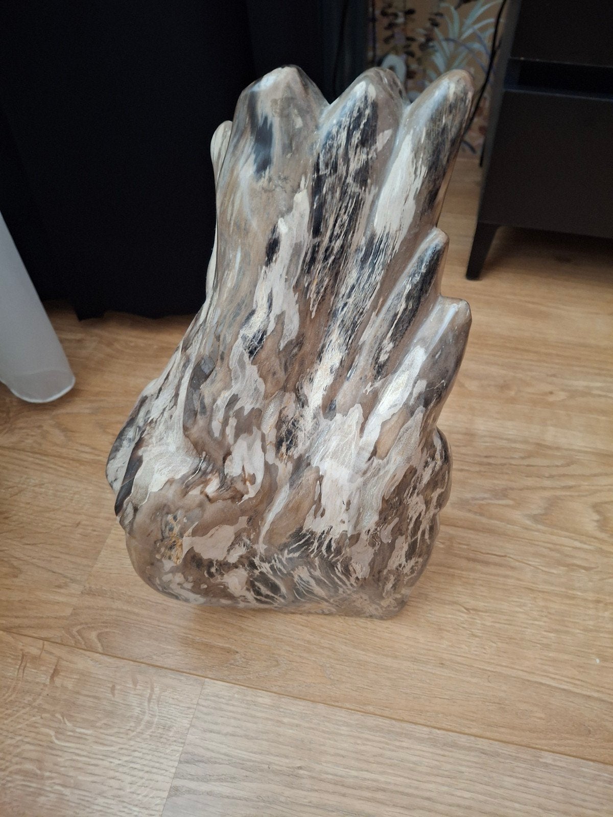 versteend hout, Ophalen, Hout, Gebruikt, Meerkleurig